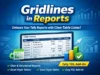 Gridlines in Reports
